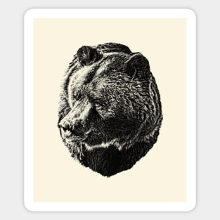 Brown bear Sticker